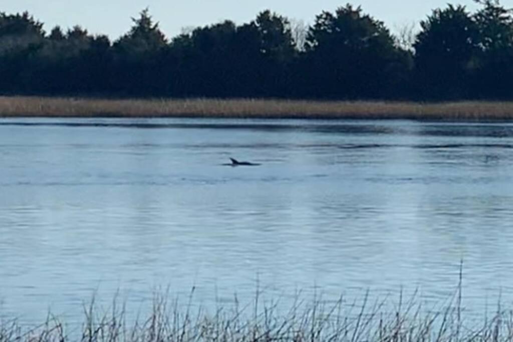Dolphin Cove - Whole Waterfront House With Dock Villa Ocean Isle Beach Eksteriør bilde
